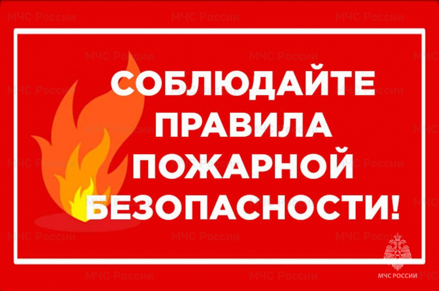 Внимание: ограничение посещения лесов в Краснодарском крае!