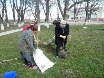 На территории Пшехского сельского поселения в парке станицы Пшехской 18 марта 2020 года было высажено 50 лип